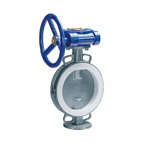 Lined Butterfly Valve 