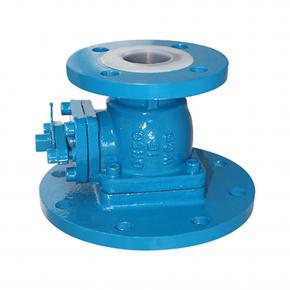 Discharge Valve 